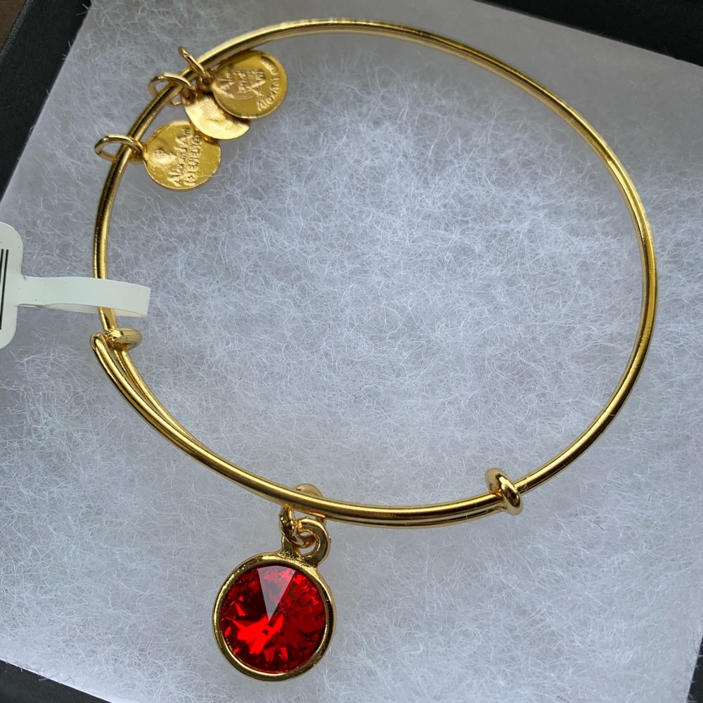Alex and Ani Birthstone Bracelet - Ruby/July